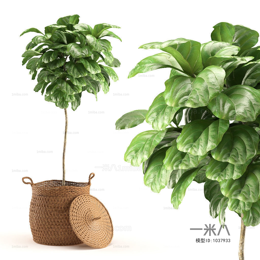 Modern Potted Green Plant