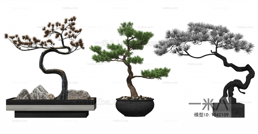 Chinese Style Bonsai