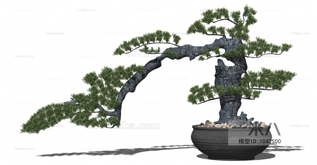 Chinese Style Bonsai