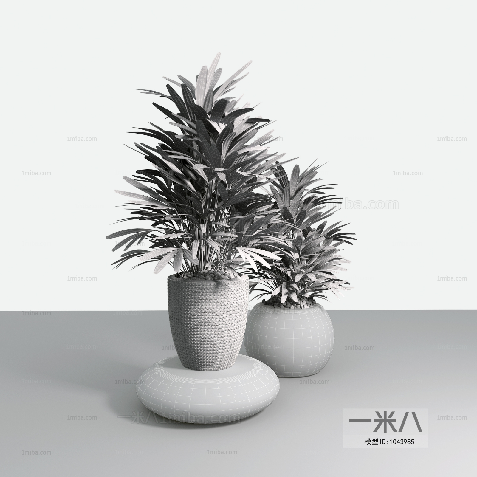 Modern Potted Green Plant