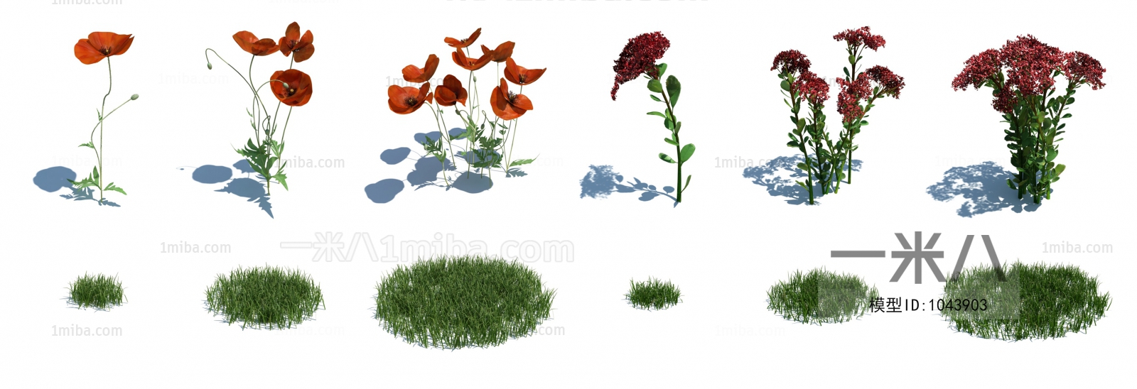 Modern Flowers And Grass