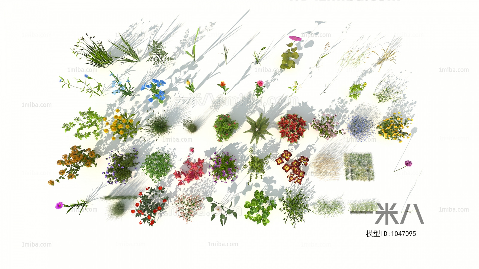 Modern Flowers And Grass