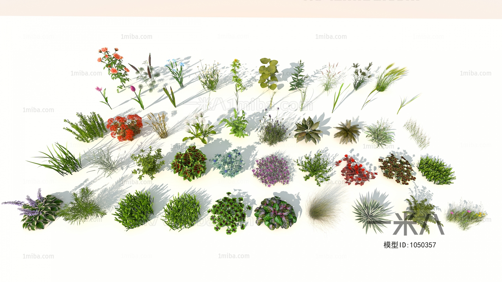 Modern Flowers And Grass