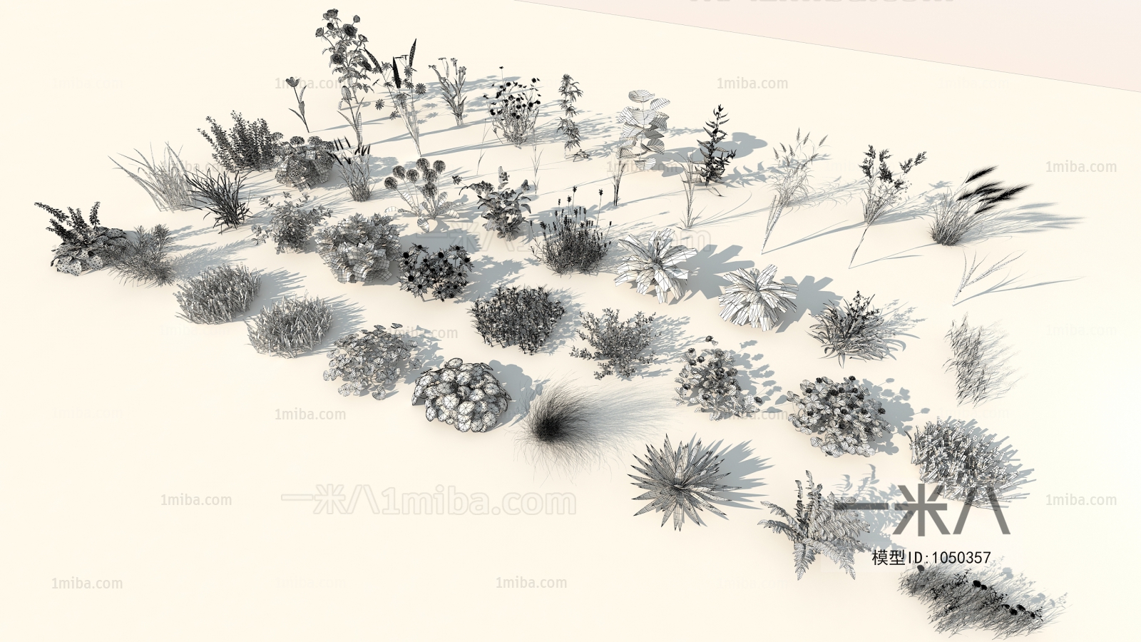 Modern Flowers And Grass