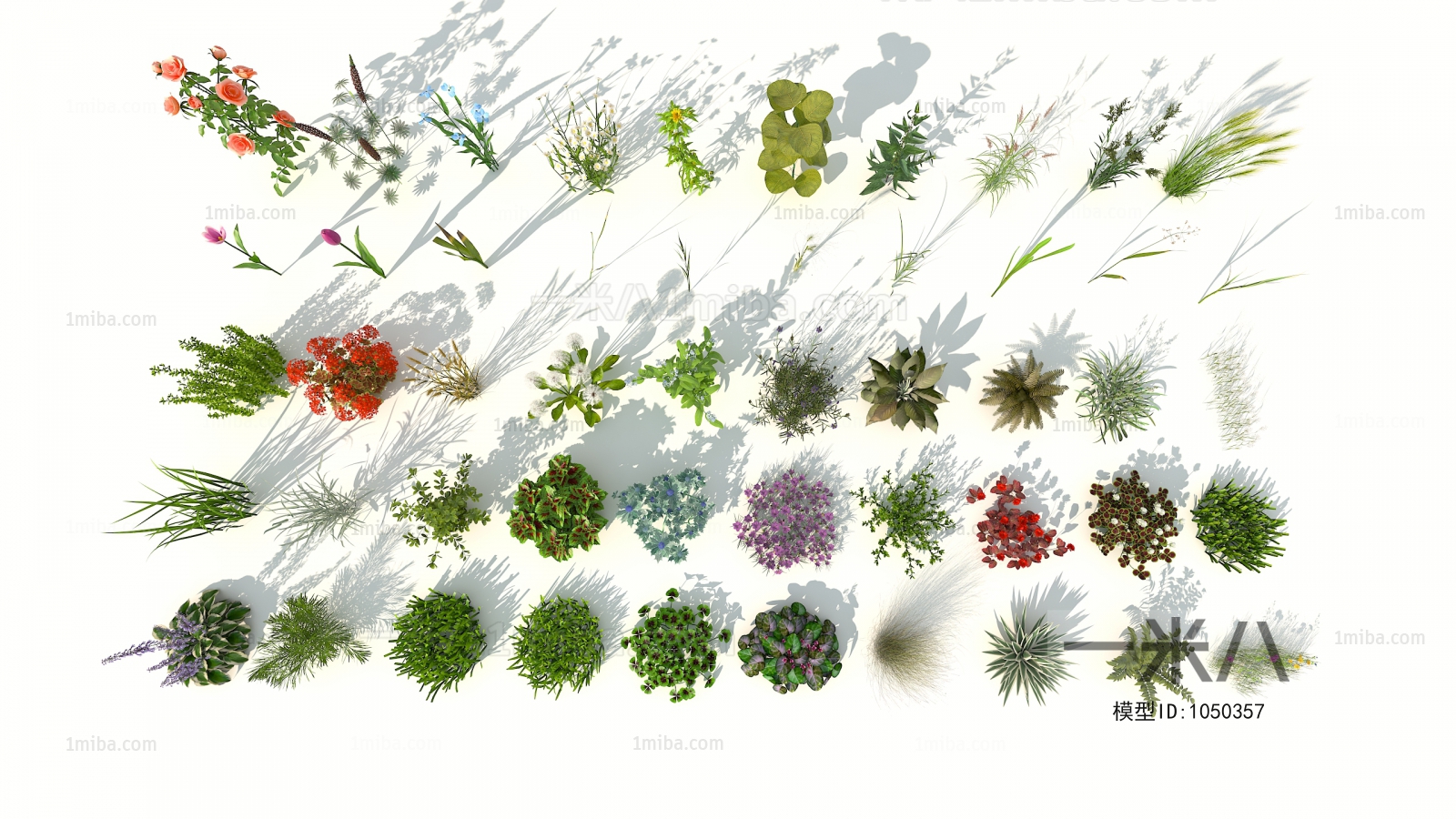 Modern Flowers And Grass