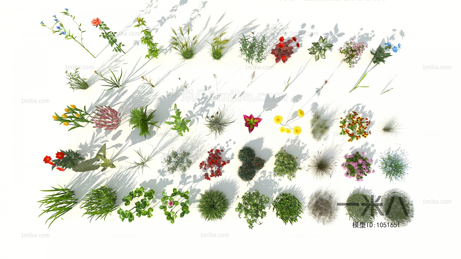 Modern Flowers And Grass