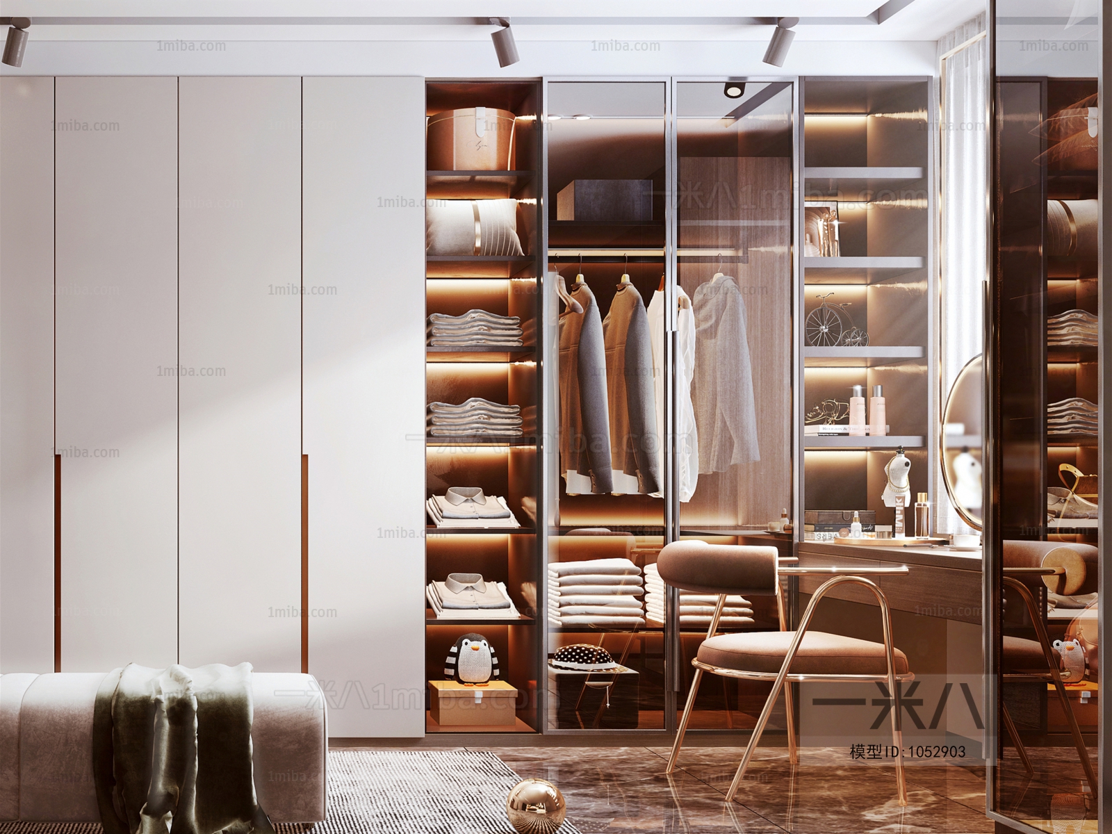 Modern Clothes Storage Area