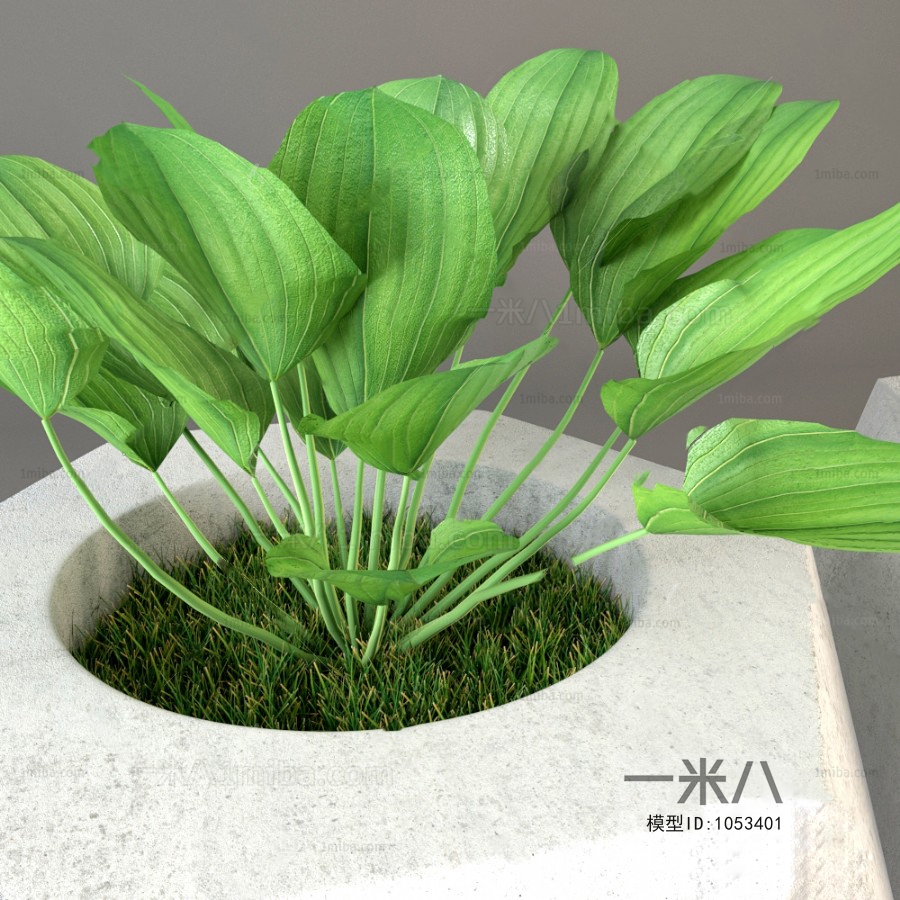 Modern Potted Green Plant