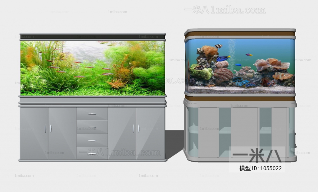 Modern Fish Tank