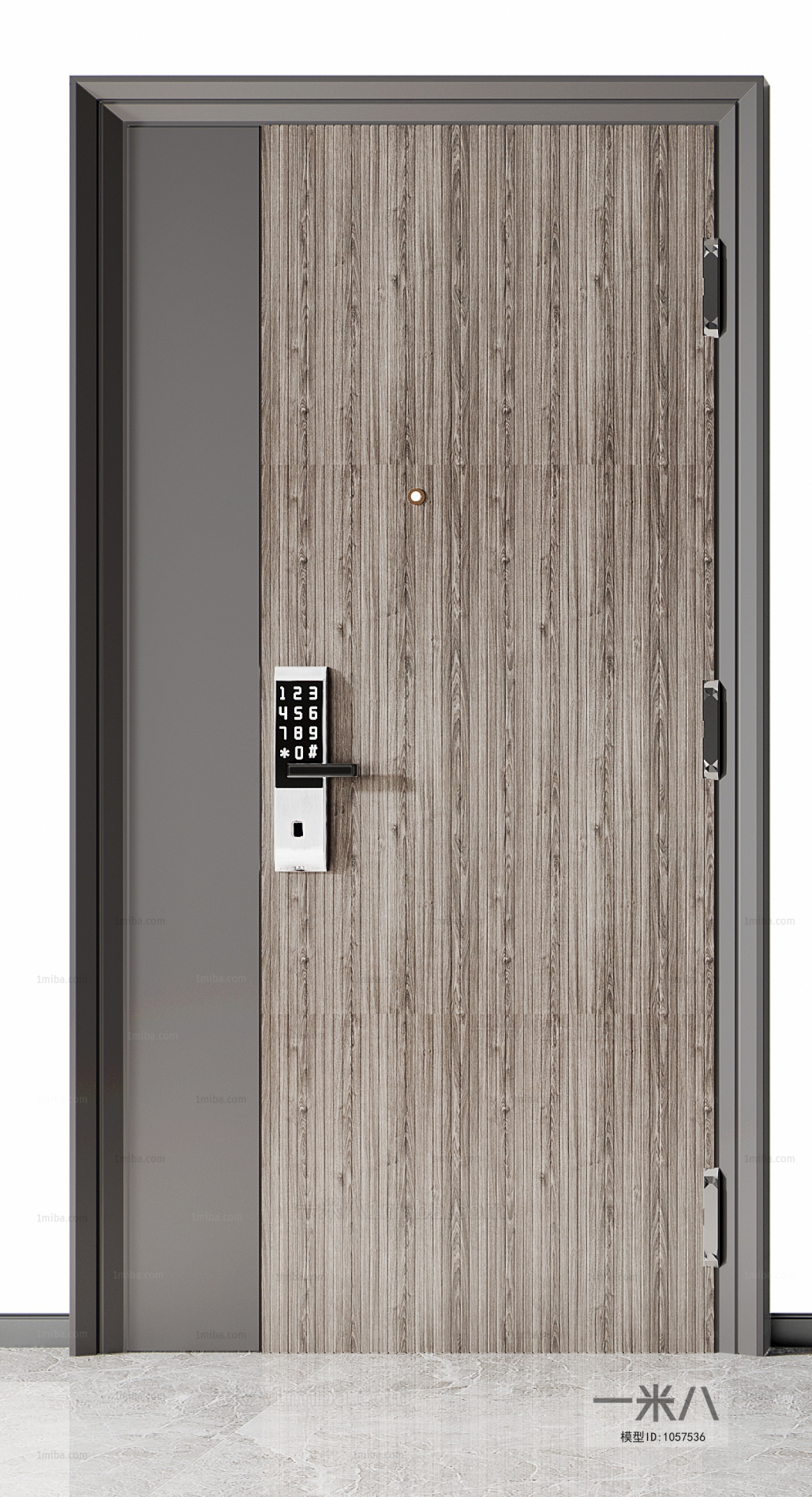 Modern Door