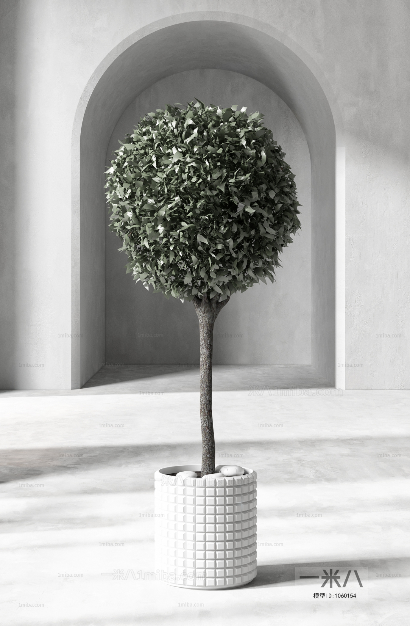 Modern Potted Green Plant