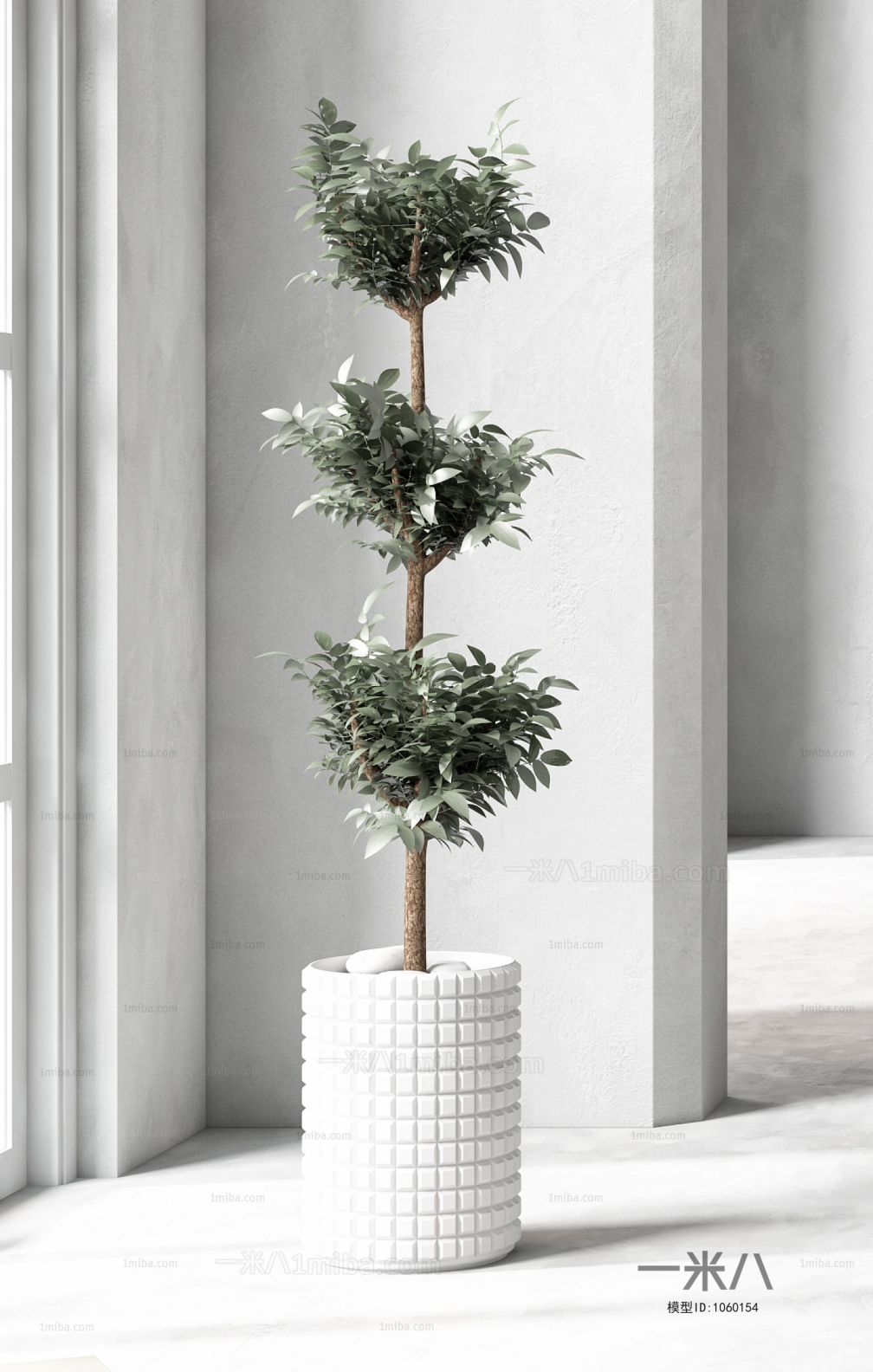 Modern Potted Green Plant