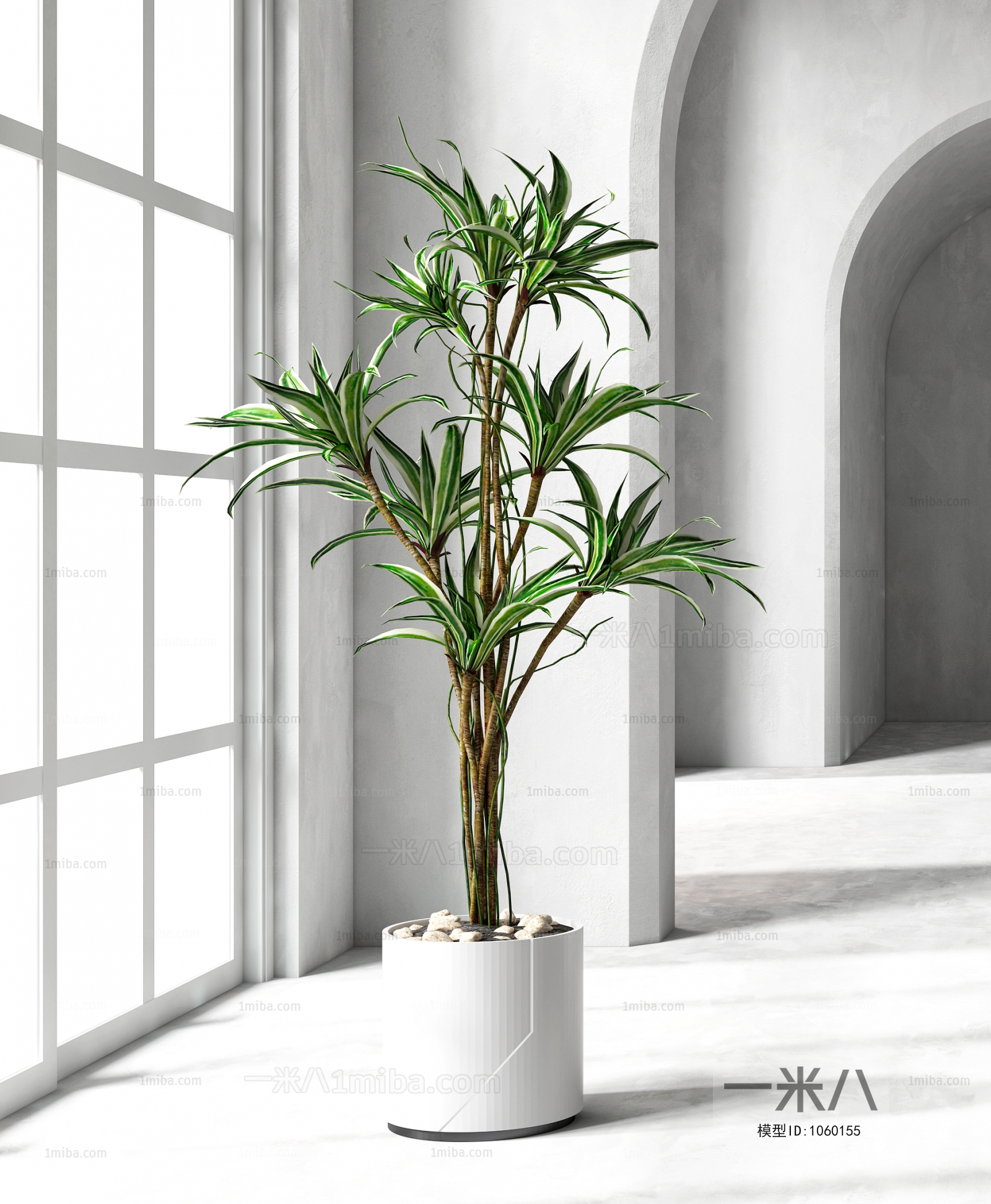 Modern Potted Green Plant