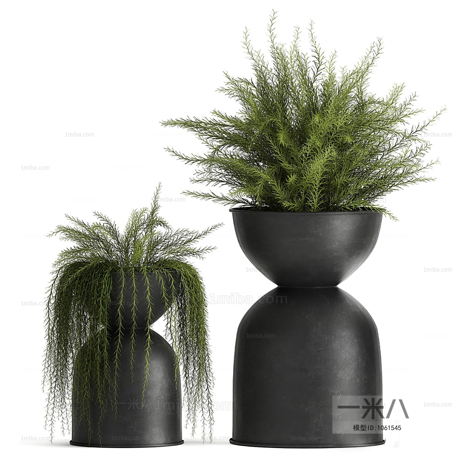 Modern Potted Green Plant