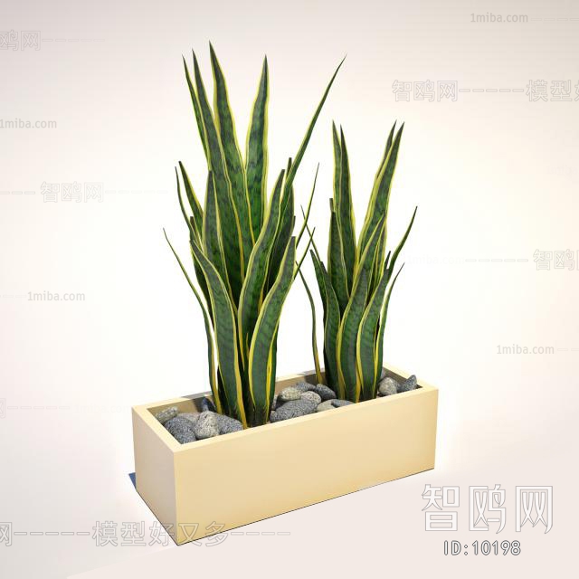 Modern Potted Green Plant