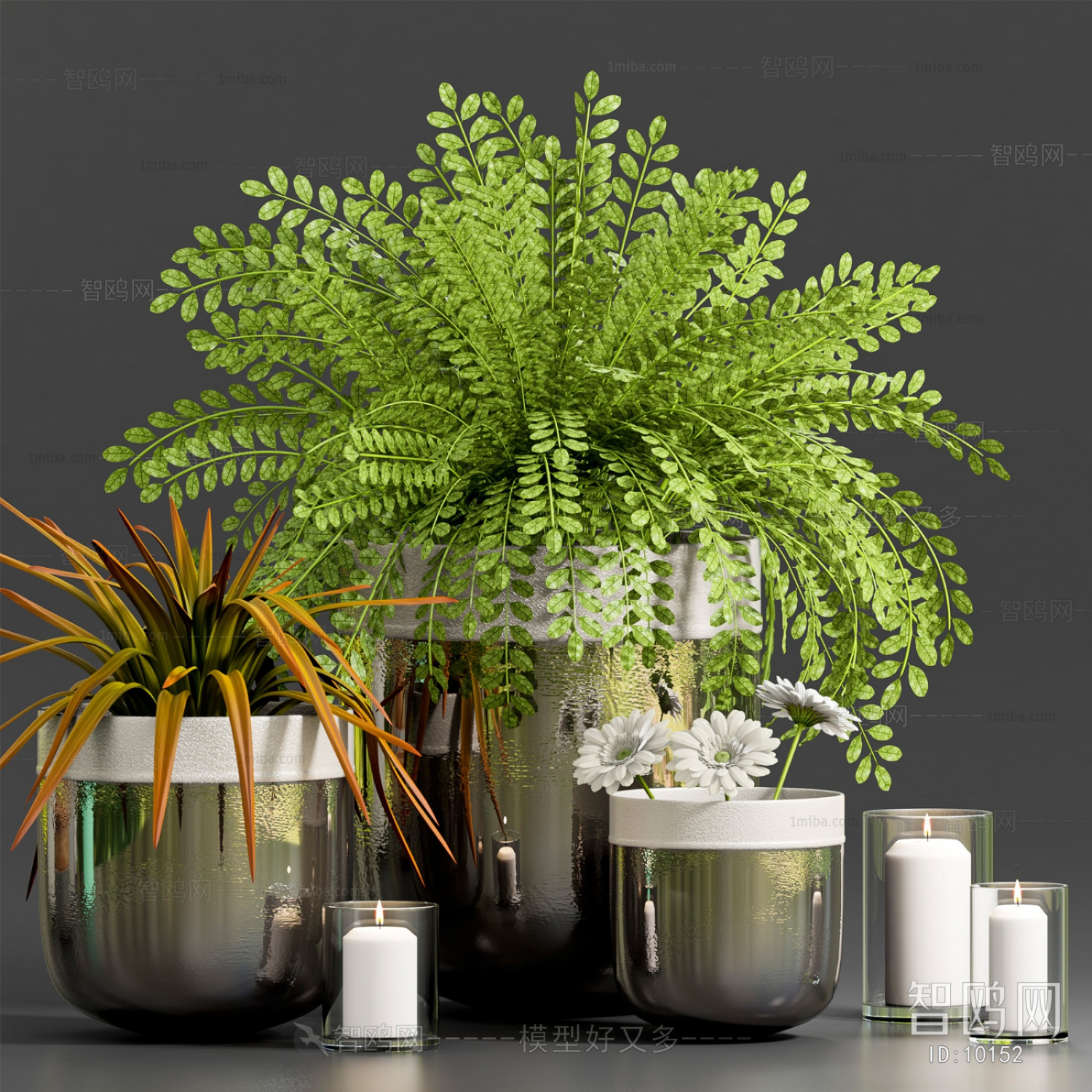 Modern Idyllic Style Industrial Style Nordic Style Simple Style Plant