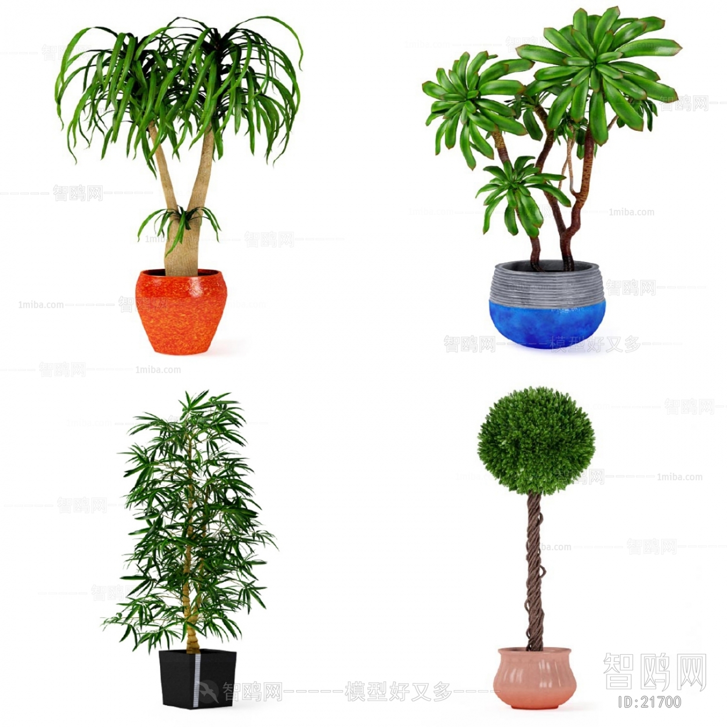 Modern Potted Green Plant