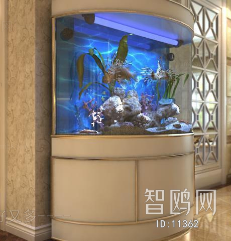 Modern Fish Tank