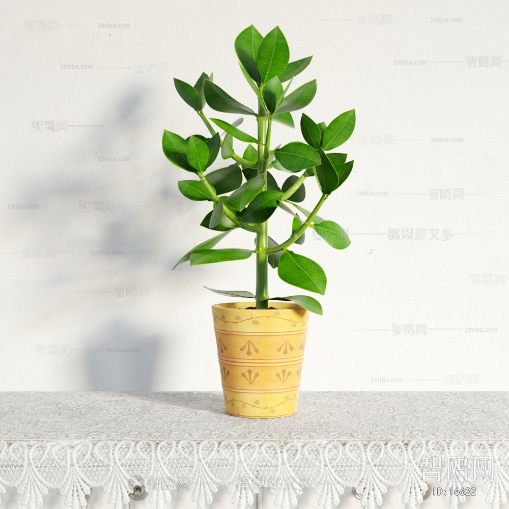 Modern Potted Green Plant