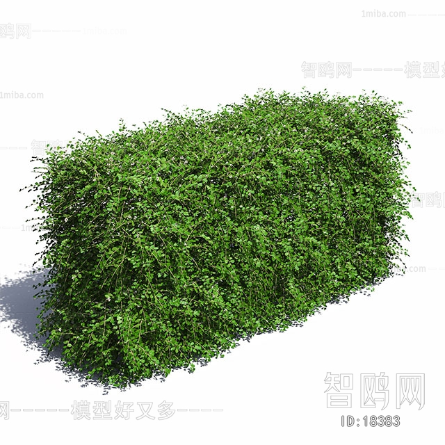 Modern Tree/shrub/grass