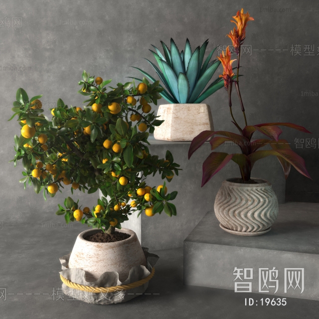 Modern Potted Green Plant