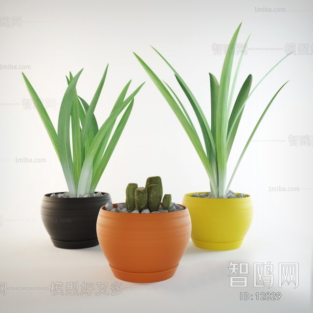 Modern Potted Green Plant