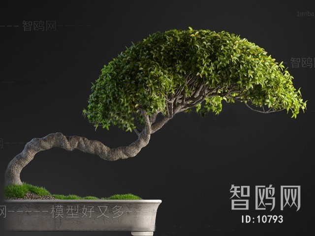 现代新中式绿植盆栽盆景