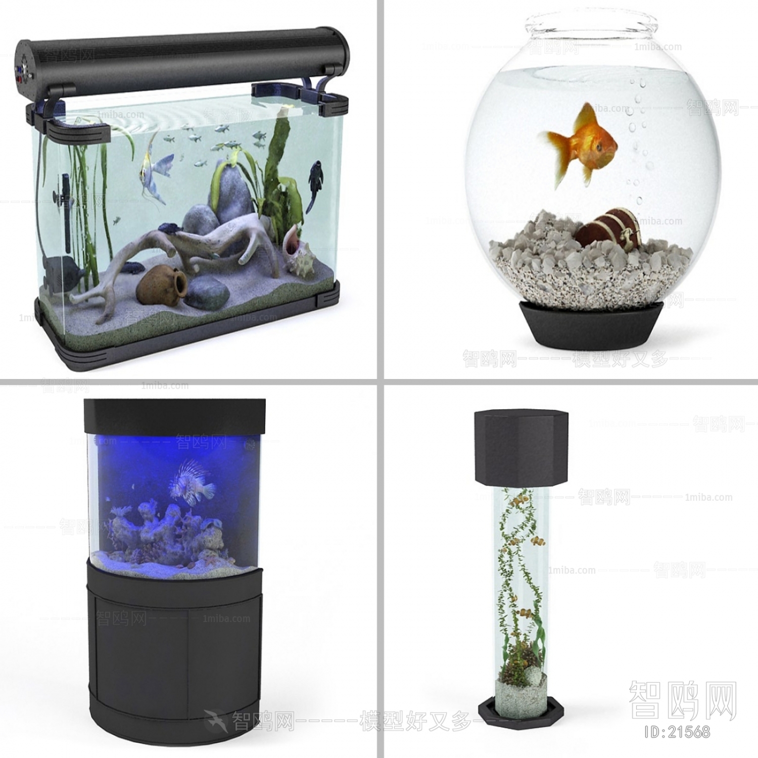 Modern Fish Tank