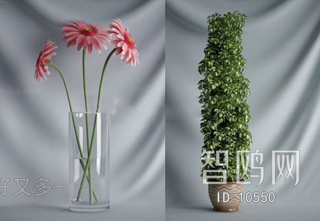 Modern Simple Style Flowers