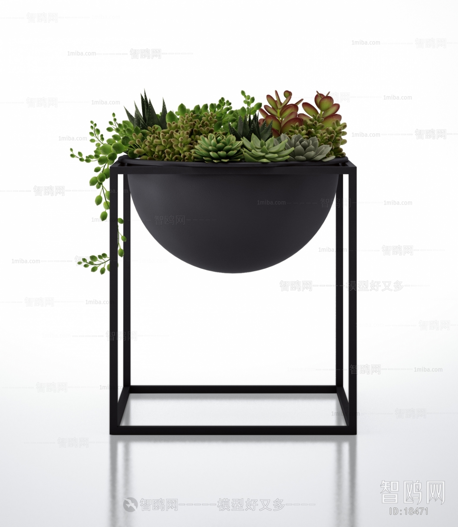 Modern Potted Green Plant