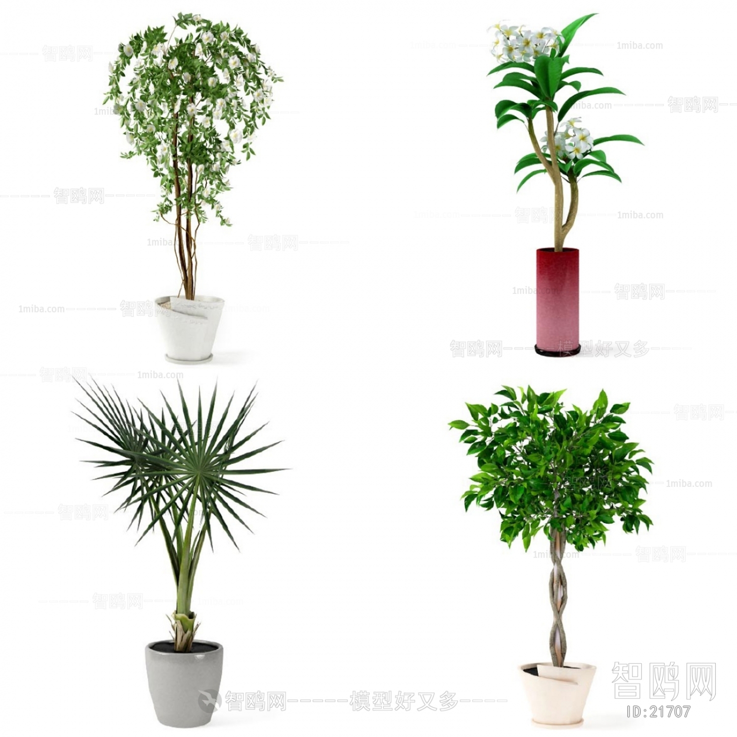 Modern Potted Green Plant