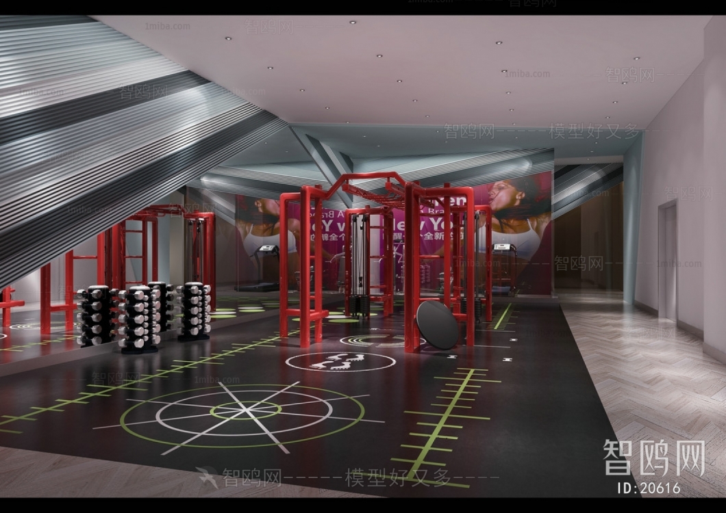 Modern Gym