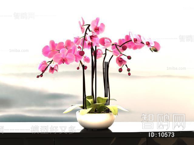 Modern New Chinese Style Flowers