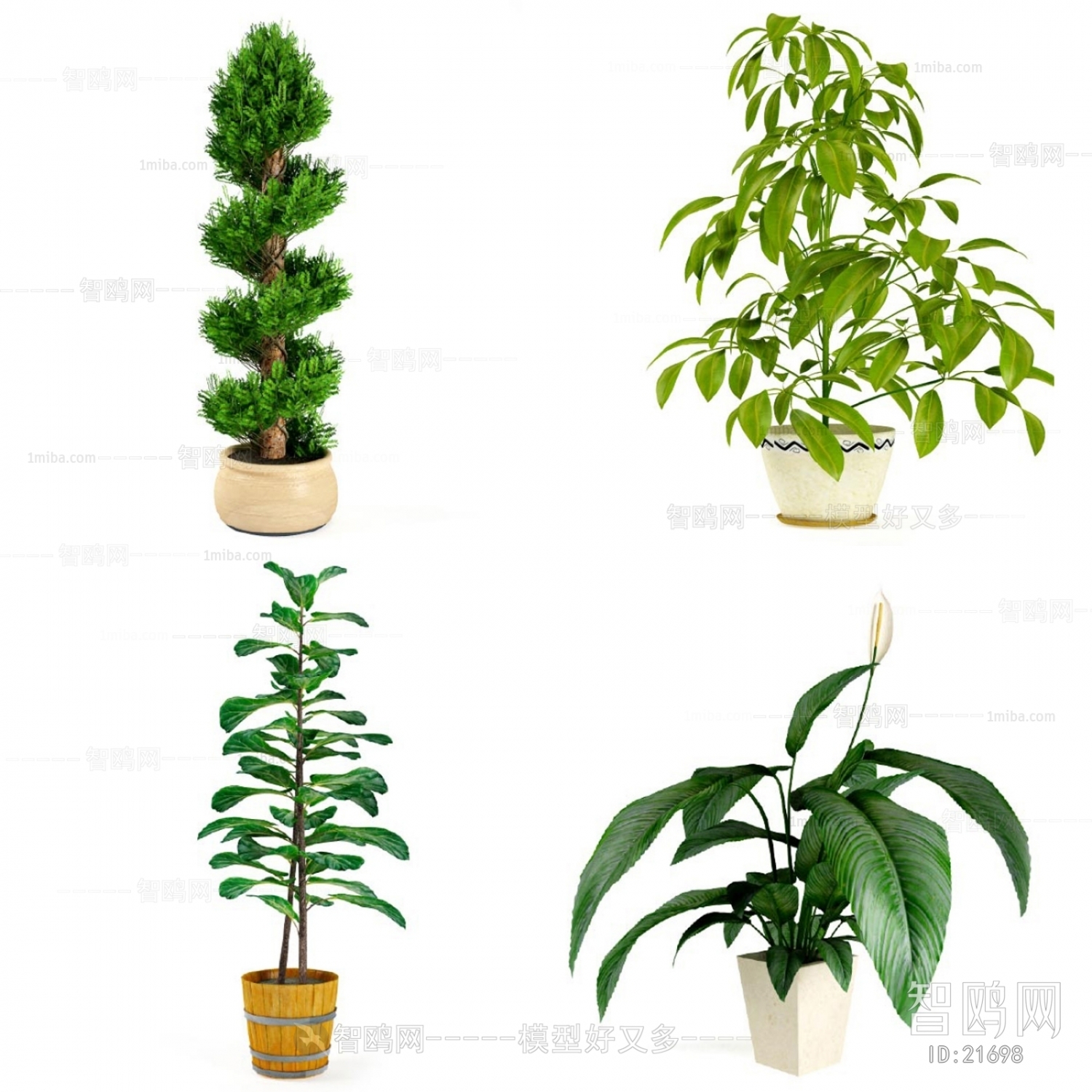 Modern Potted Green Plant