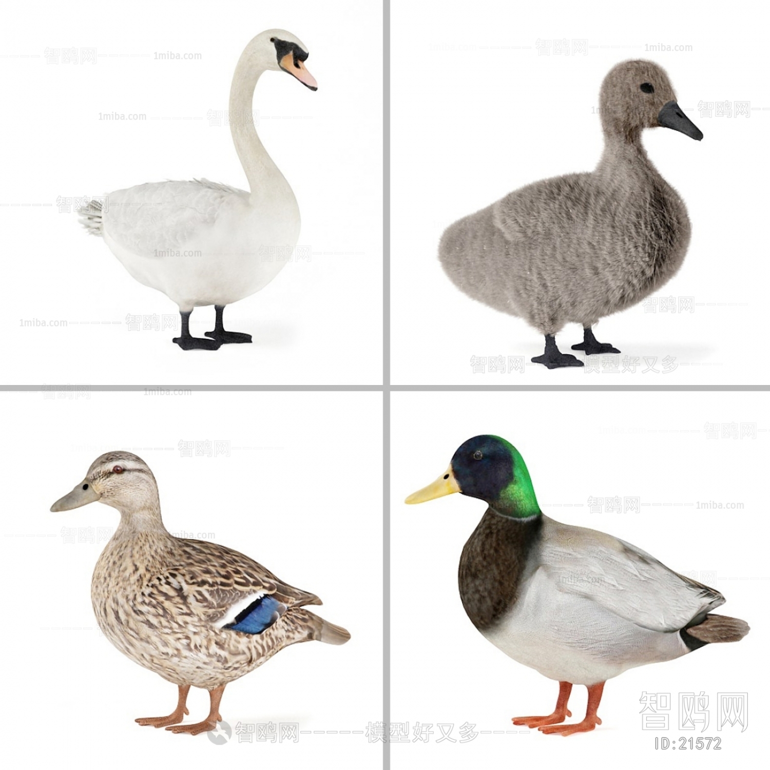 Modern Animal Duck
