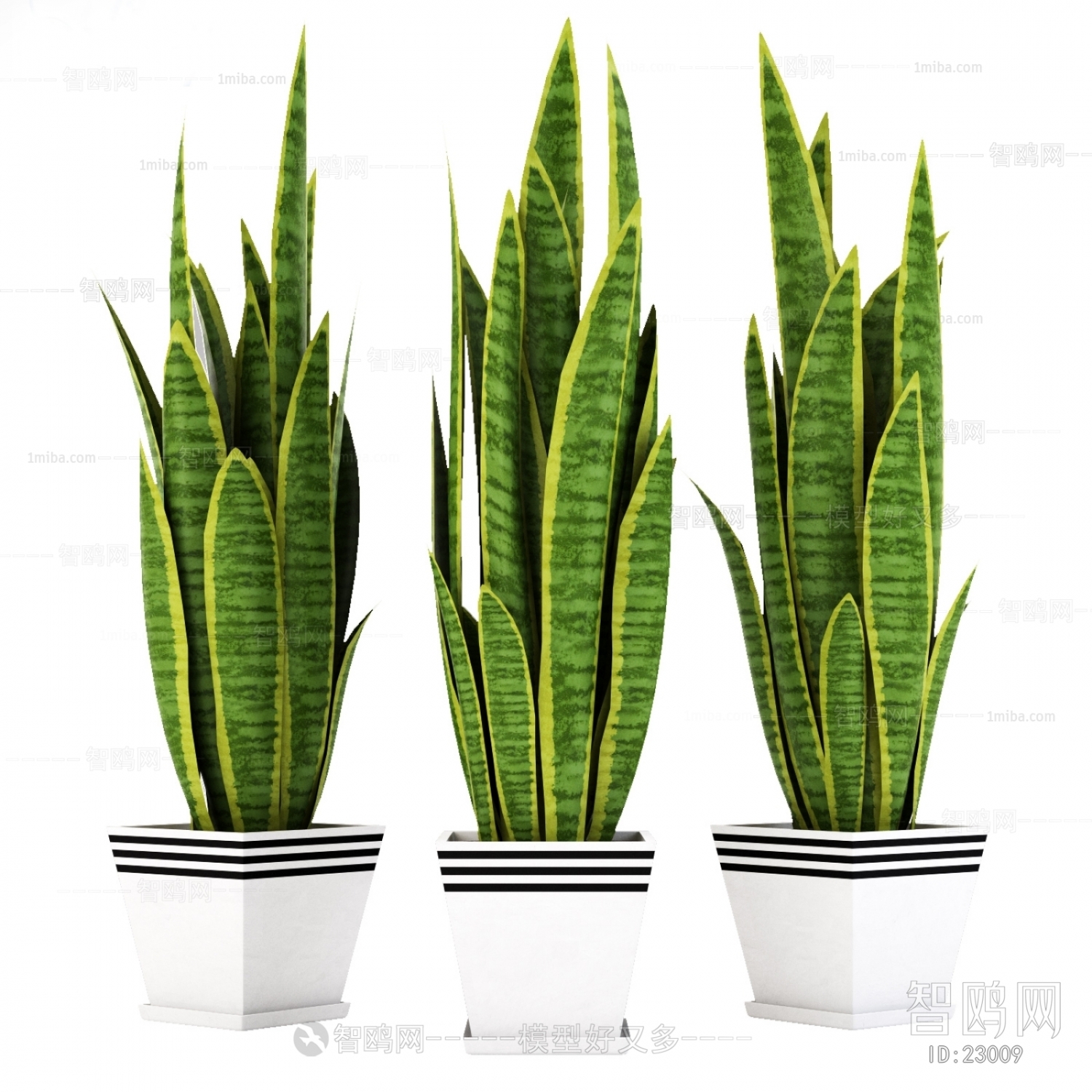 Modern Potted Green Plant