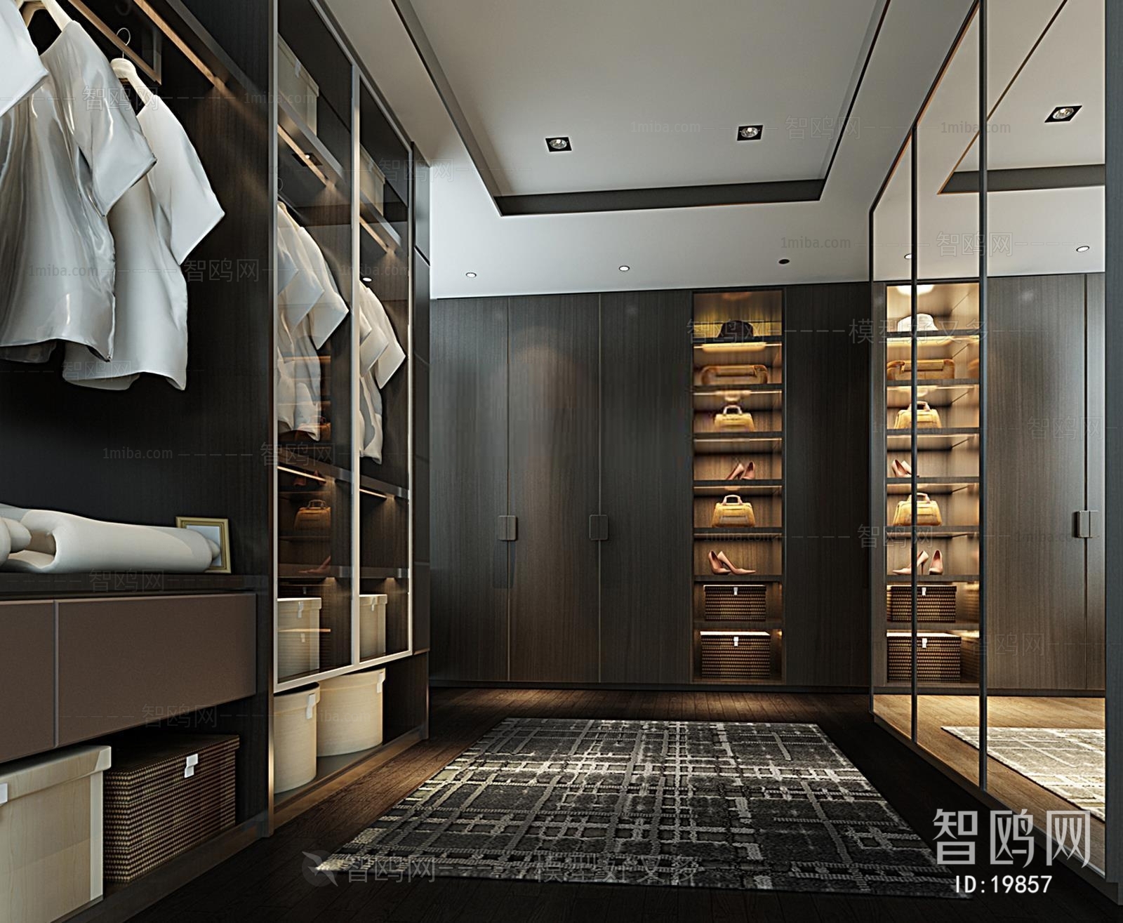 Modern Clothes Storage Area