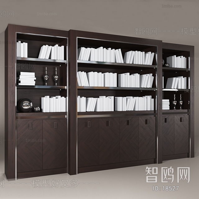 Modern Bookcase