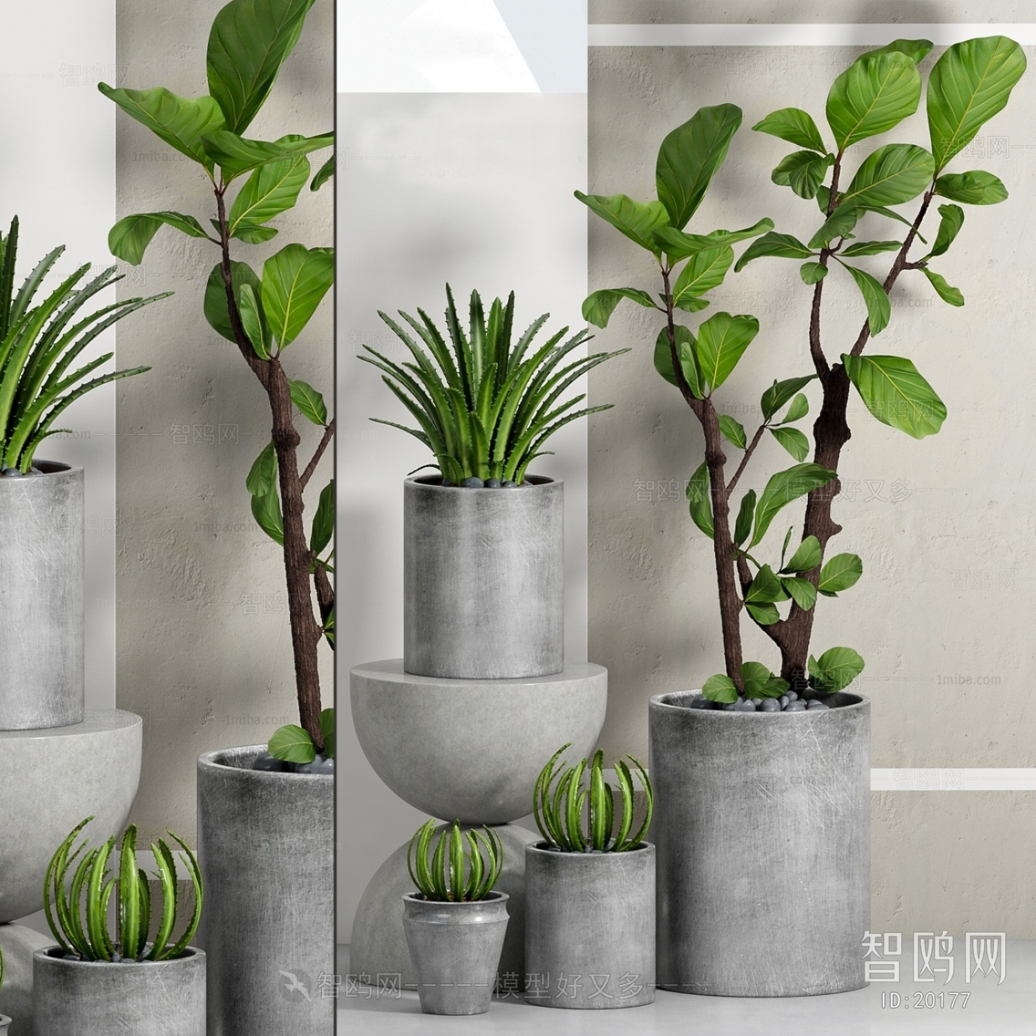 Modern Potted Green Plant