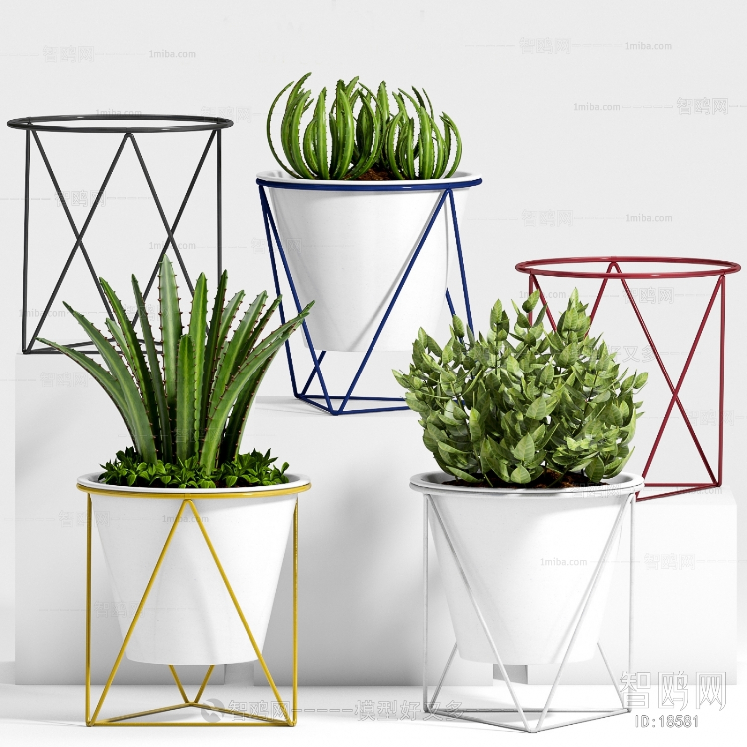 Modern Potted Green Plant