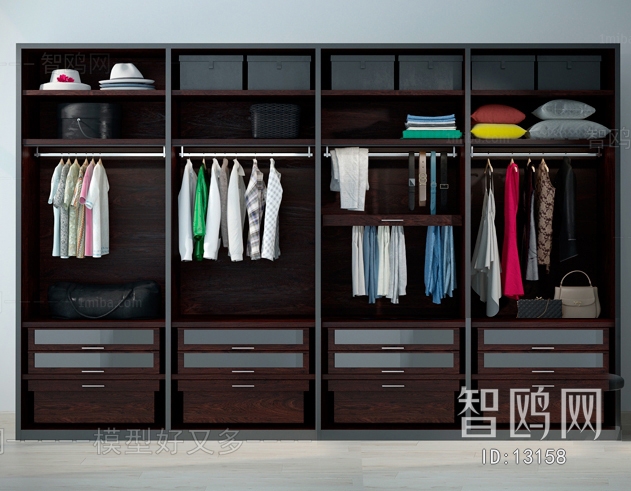 Modern Clothes Storage Area