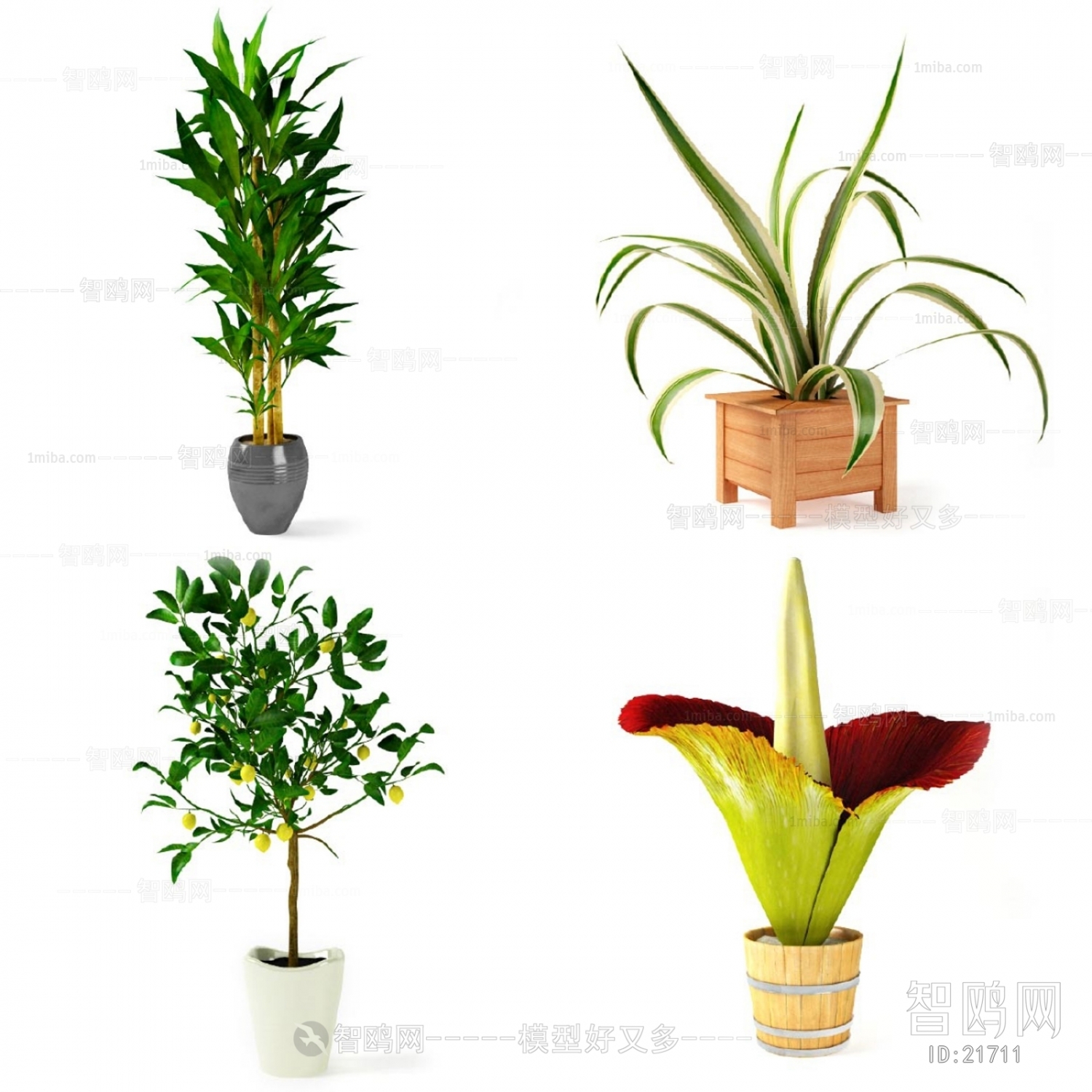 Modern Potted Green Plant