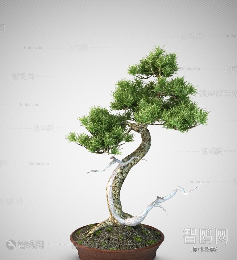 Modern New Chinese Style Potted Green Plant