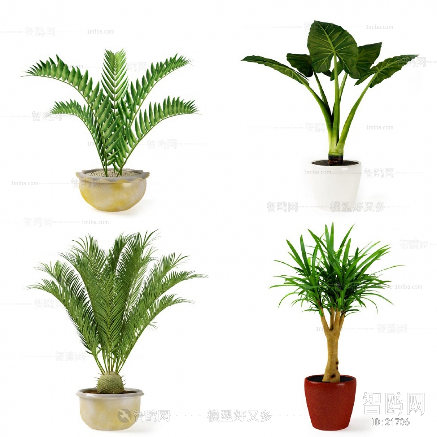 Modern Potted Green Plant