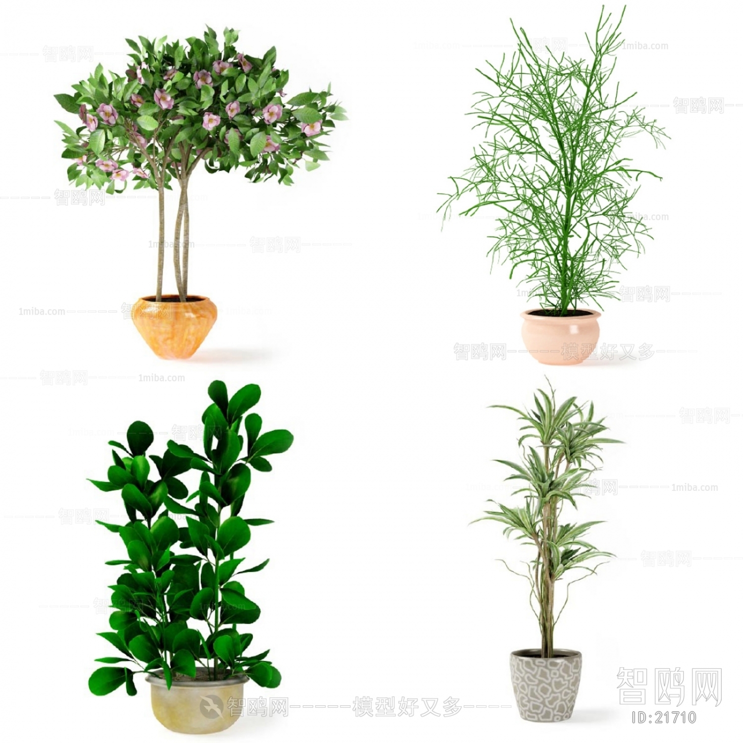 Modern Potted Green Plant