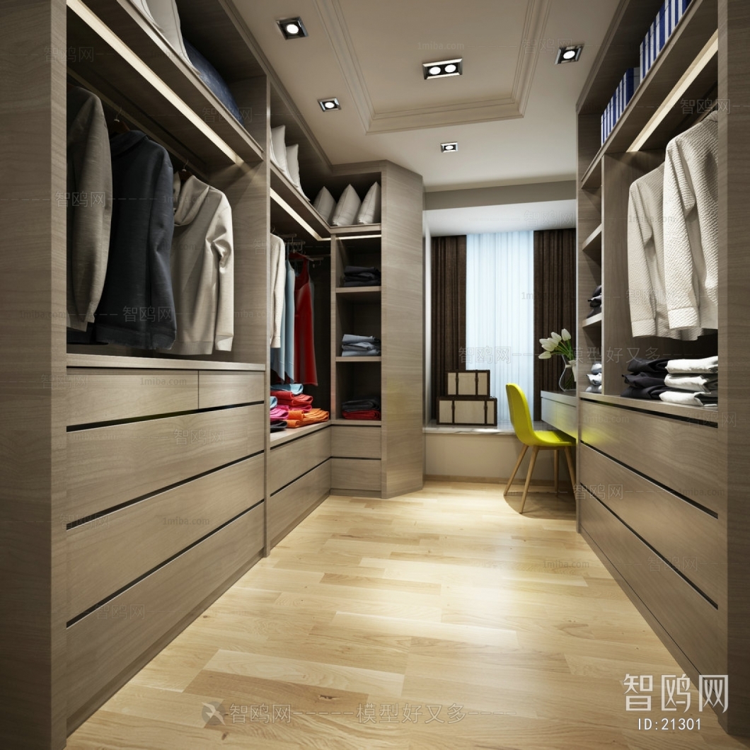 Modern Clothes Storage Area