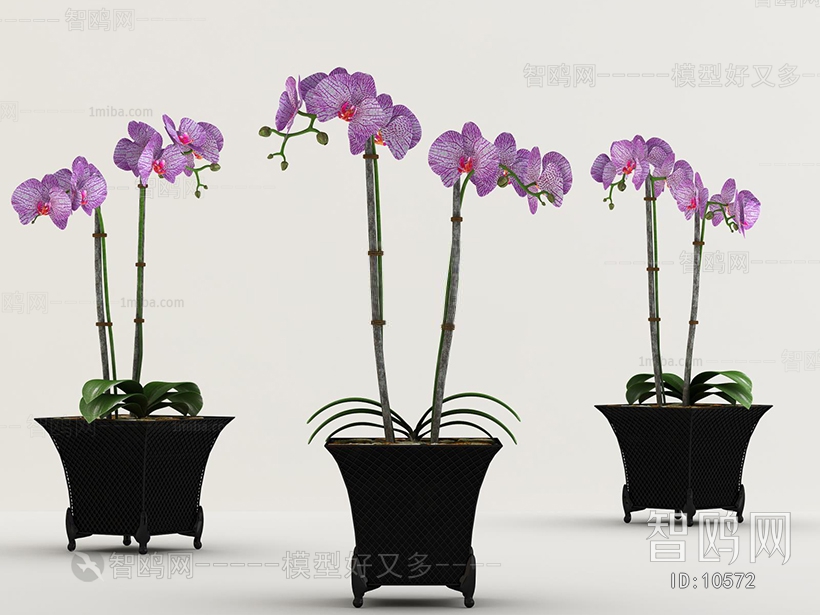 Modern New Chinese Style Flowers