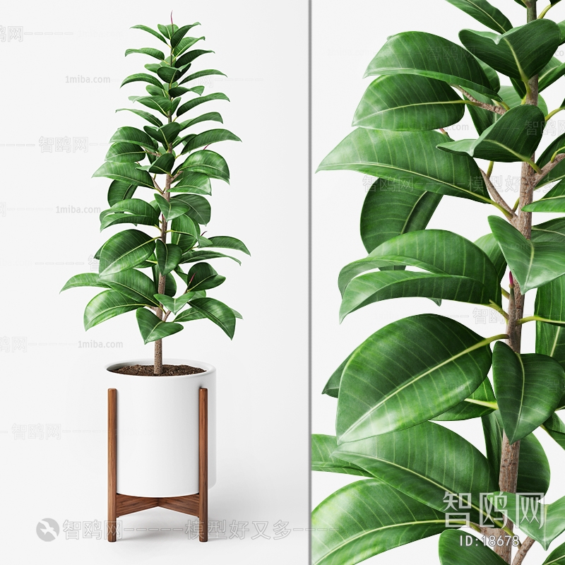 Modern Potted Green Plant