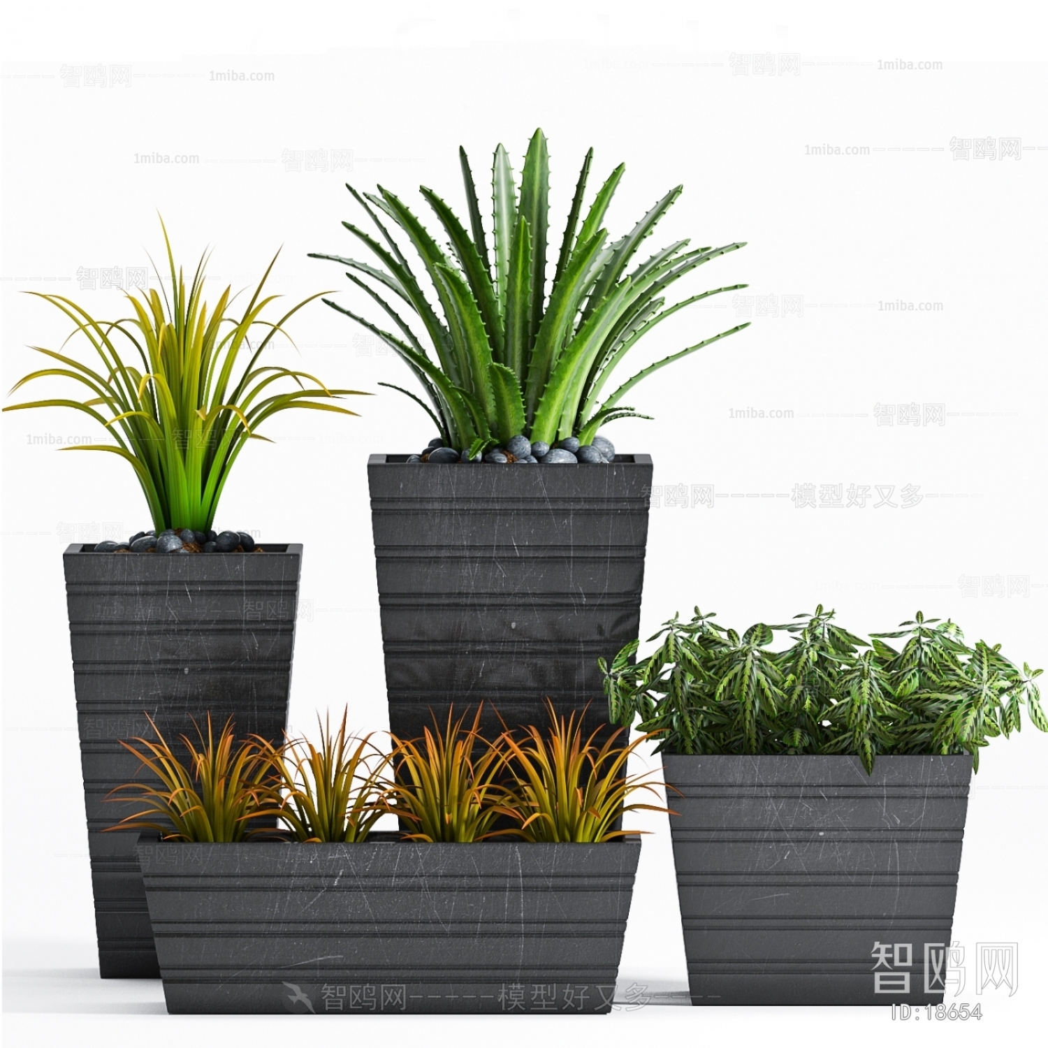 Modern Potted Green Plant