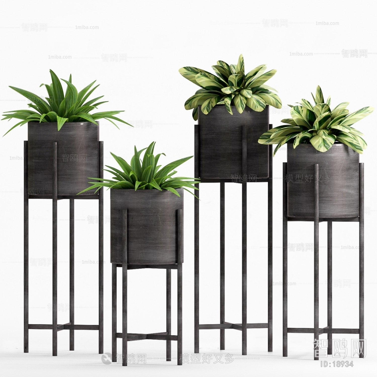 Modern Potted Green Plant